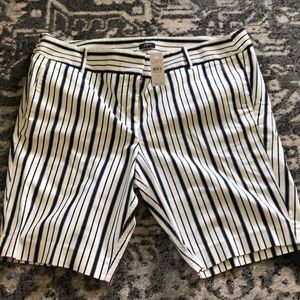 Women’s Loft Shorts